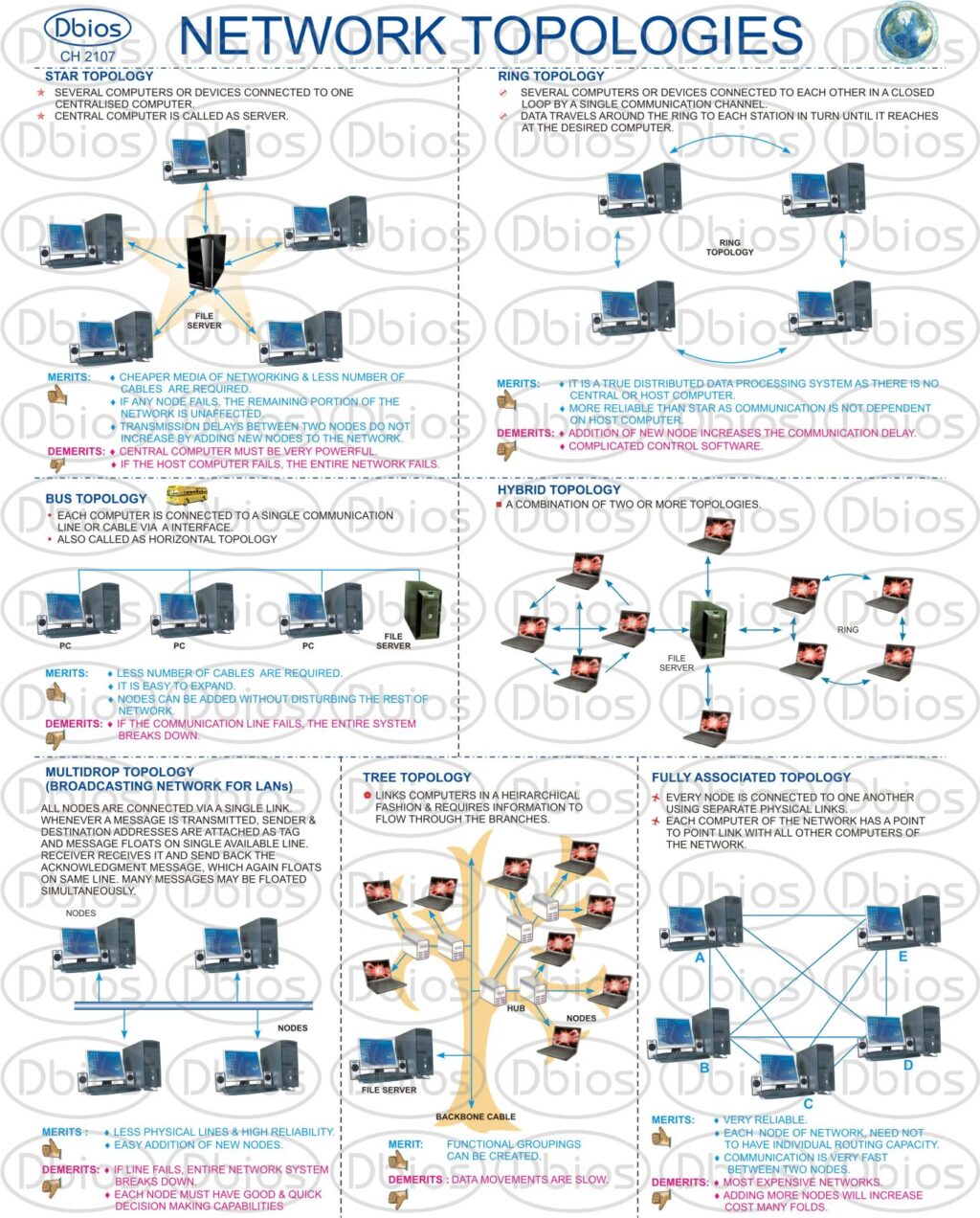 Networking Table Chart Data Base Management & Networking – DBIOS